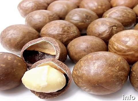 خرید فندق ماکادمیا اصفهان_5
