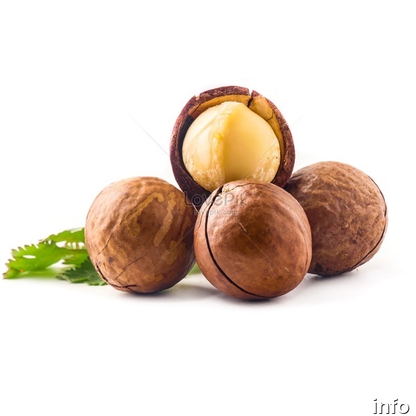 خرید فندق ماکادمیا اصفهان_6