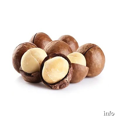 خرید فندق ماکادمیا در شیراز_1