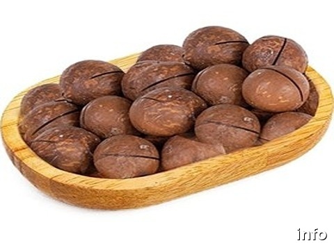 خرید فندق ماکادمیا در شیراز_2