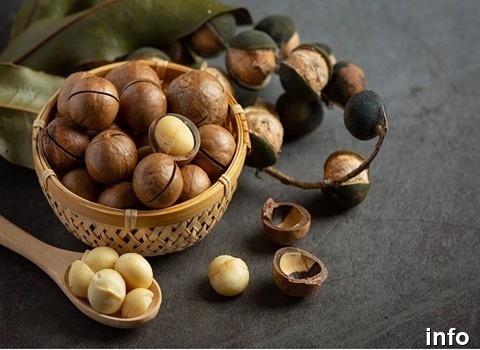 خرید فندق ماکادمیا در شیراز_3