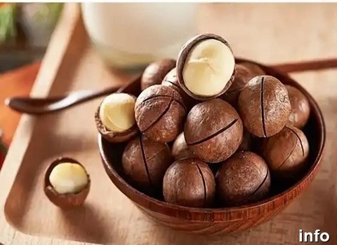 خرید فندق ماکادمیا در شیراز_4