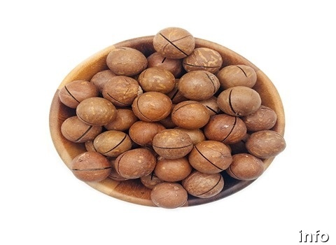 خرید فندق ماکادمیا در شیراز_5