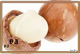 خرید ماکادمیا اصفهان_10