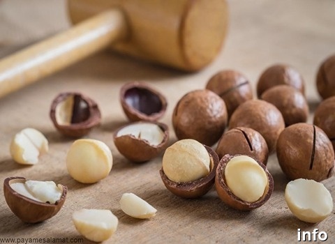 خرید ماکادمیا اصفهان_8