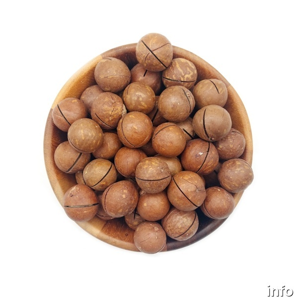 خرید ماکادمیا تهران_1