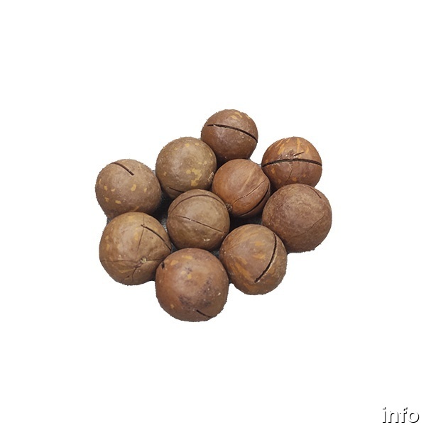خرید ماکادمیا خام_9