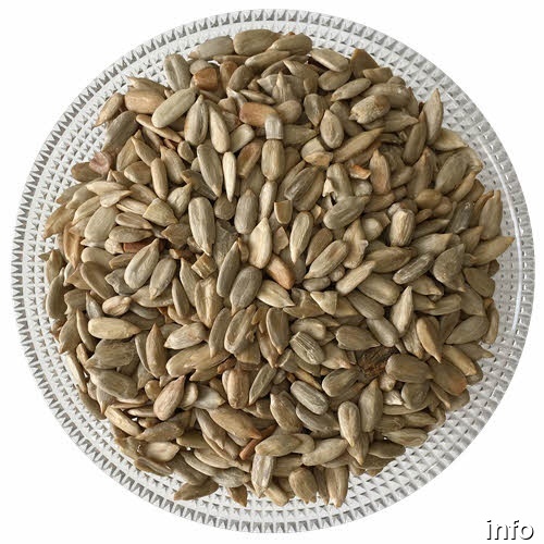 خرید مغز تخمه آفتابگردان خام_5