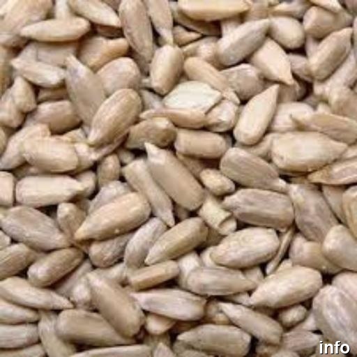 خرید مغز تخمه آفتابگردان خام_9