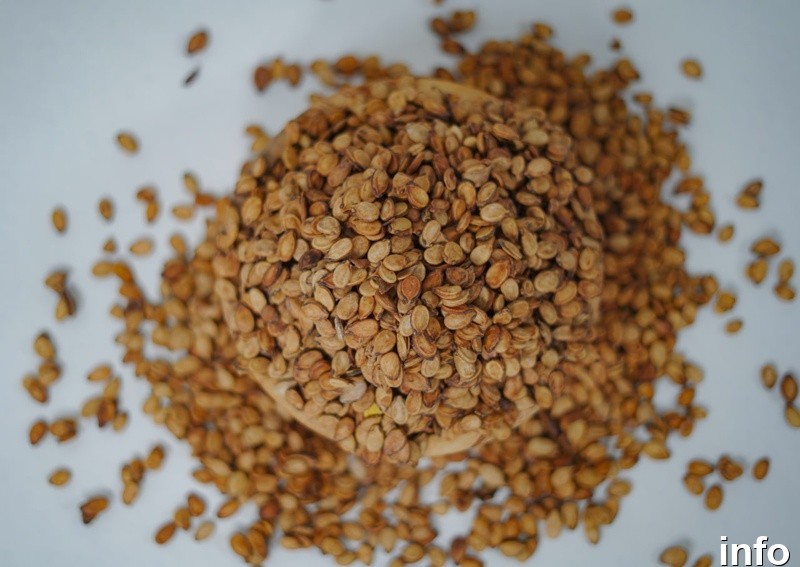 خرید مغز تخمه ژاپنی_9