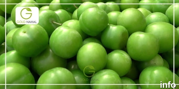 خواص گوجه سبز برای کبد چرب_10