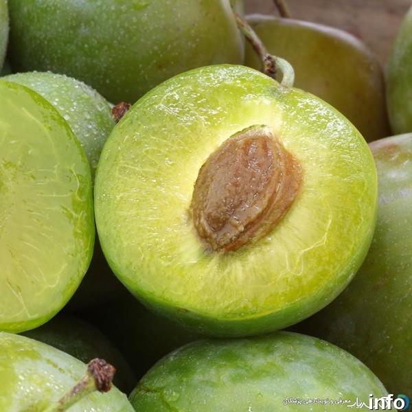خواص گوجه سبز برای کبد چرب_5