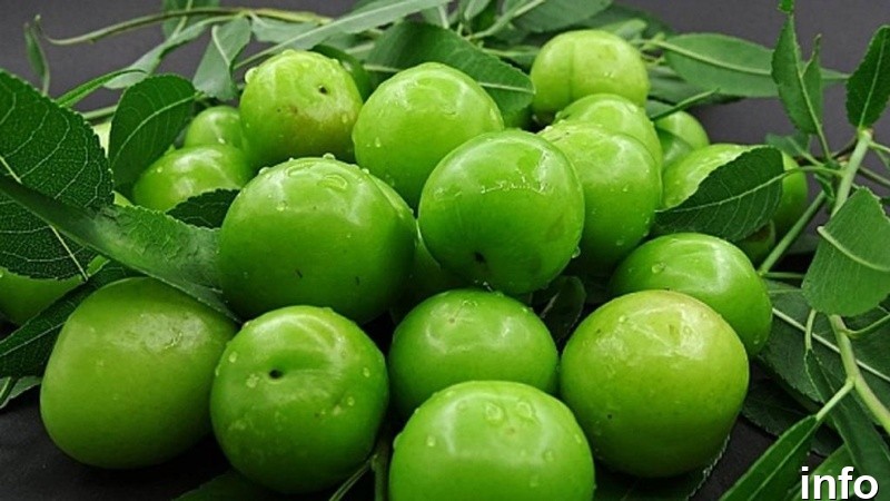 خواص گوجه سبز برای کبد چرب_6