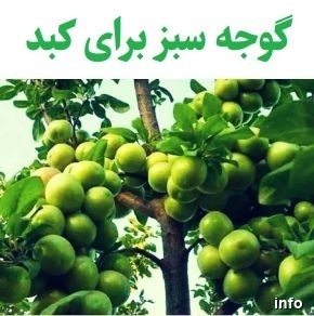 خواص گوجه سبز برای کبد چرب_7