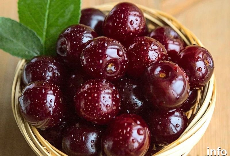 خواص گیلاس سرد یا گرم_1