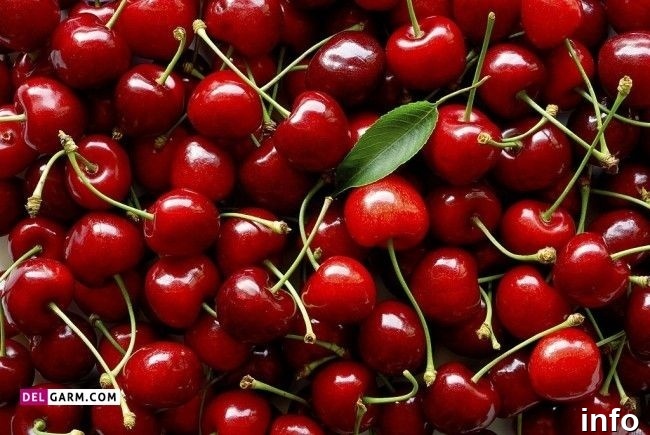 خواص گیلاس سرد یا گرم_6