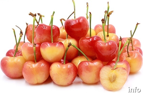 خواص گیلاس سفید چیست_10