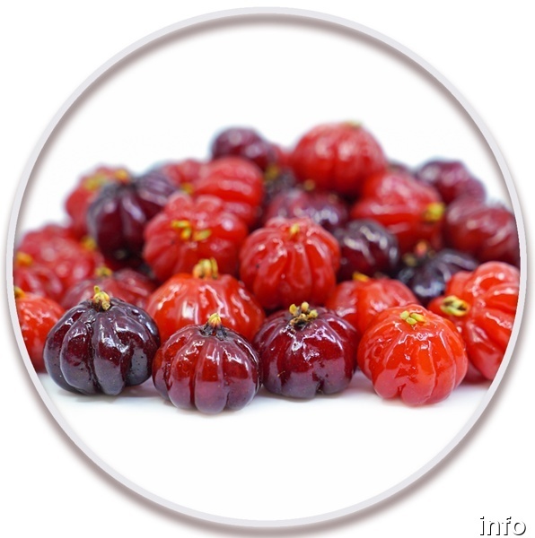 خواص گیلاس سورینام_4