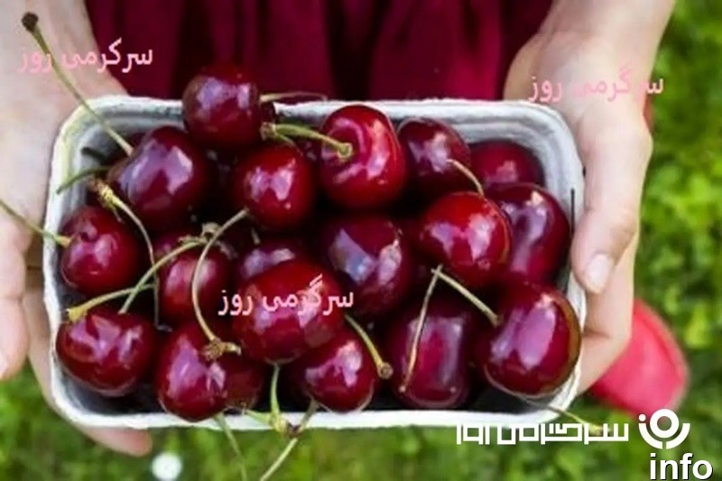خواص گیلاس صبح ناشتا_6