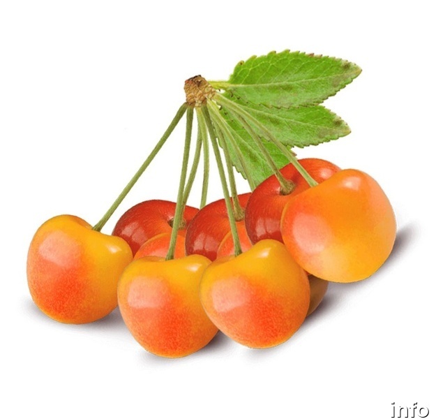 خواص گیلاس صورتی_2