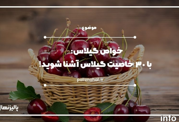 خواص گیلاس طب سنتی_3