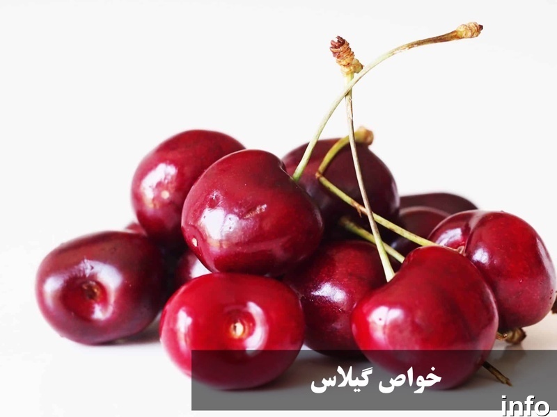 خواص گیلاس طب سنتی_7