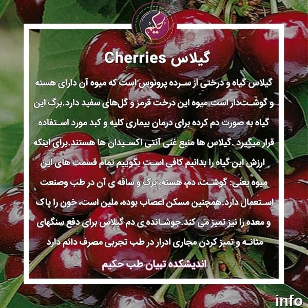 خواص گیلاس عسلی_4