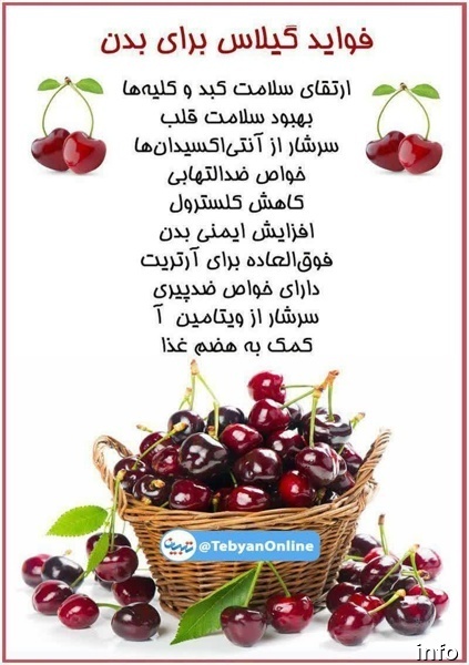 خواص گیلاس عسلی_5