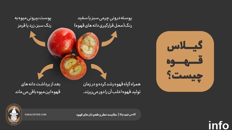 خواص گیلاس عسلی_8