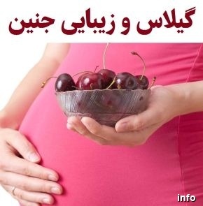 خواص گیلاس قبل از بارداری_3