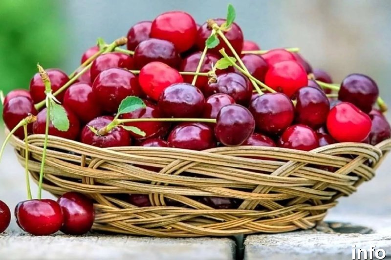خواص گیلاس قبل از خواب_3