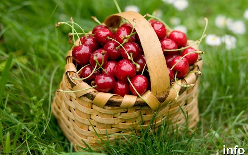 خواص گیلاس لاغری_7