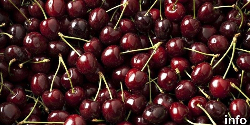 خواص گیلاس مشکی_2