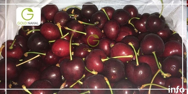 خواص گیلاس مشکی_4