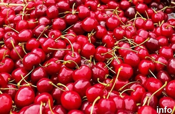 خواص گیلاس نارس_3