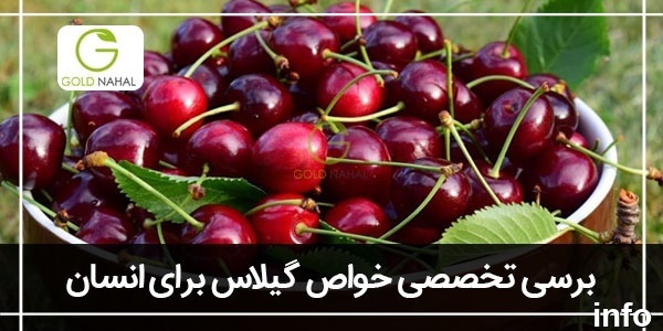 خواص گیلاس ناشتا_6