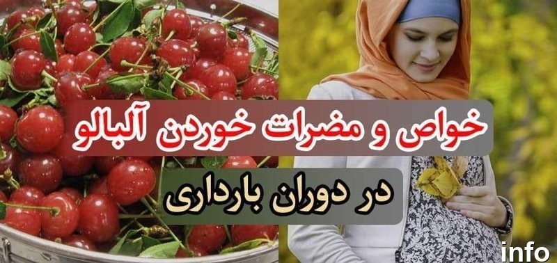 خواص گیلاس و آلبالو در بارداری_8
