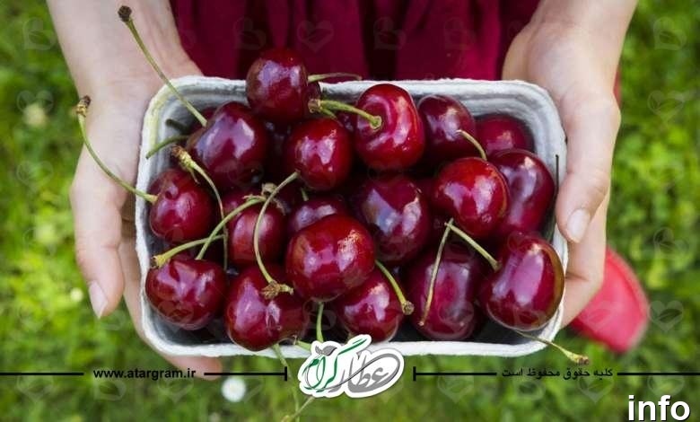 خواص گیلاس و مضرات ان_10