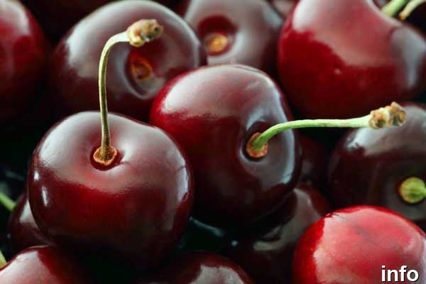 خواص گیلاس پخته شده_4