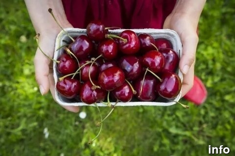خواص گیلاس پخته شده_9