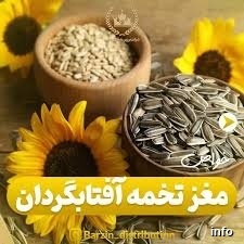 شرکت پخش تخمه آفتابگردان_1
