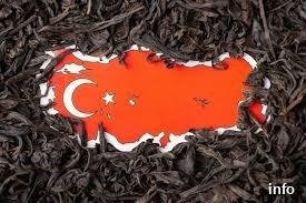 صادرات تخمه آفتابگردان به ترکیه_9