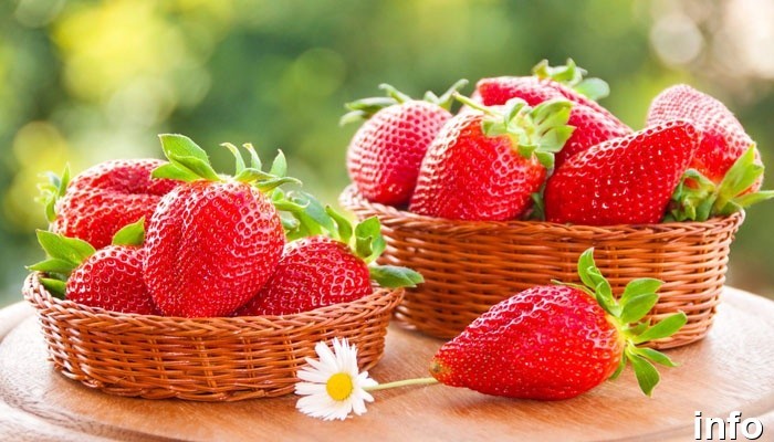 طبع خواص توت فرنگی_7