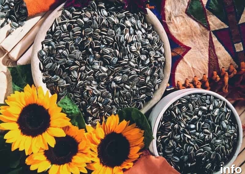 فروش تخمه آفتابگردان در شیراز_3
