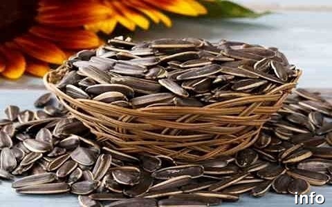 فروش تخمه آفتابگردان در شیراز_4