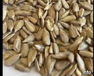 فروش تخمه آفتابگردان در شیراز_5