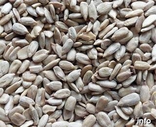 فروش عمده تخمه آفتابگردان خوی_7