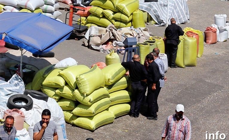فروش عمده تخمه آفتابگردان خوی_8
