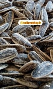 فروش عمده تخمه آفتابگردان چینی_1