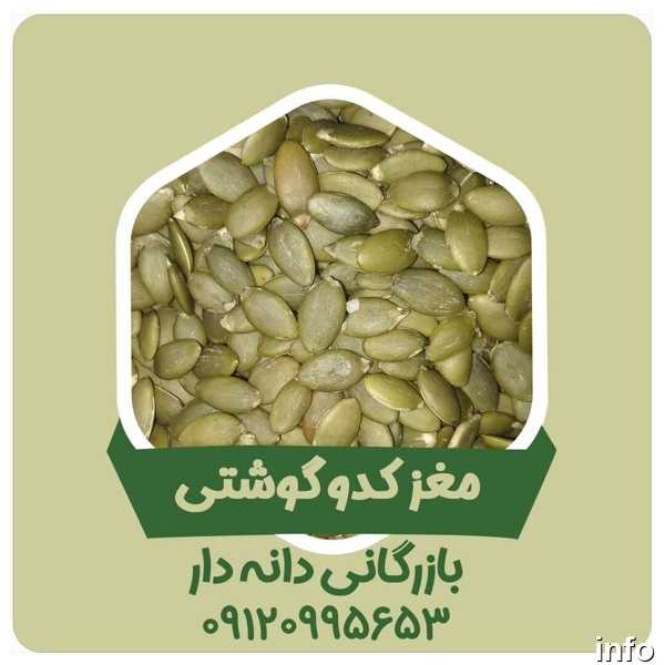 فروش عمده مغز تخمه کدو_1